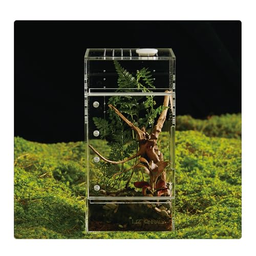 Acryl-Terrarium für Reptilien & Spinnen, kleines/mittelgroßes/großes, auslaufsicheres Gehege (horizontal/vertikal) | ideal für Vogelspinnen, Springspinnen, Frösche und Geckos (klein vertikal) von LIZ QNNALY