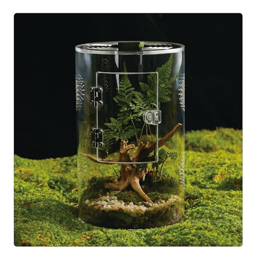 Acryl-Terrarium für Reptilien und Spinnen, kleines/mittelgroßes/großes, auslaufsicheres Gehege (horizontal/vertikal) | ideal für Vogelspinnen, Springspinnen, Frösche und Geckos (mittelgroß) von LIZ QNNALY