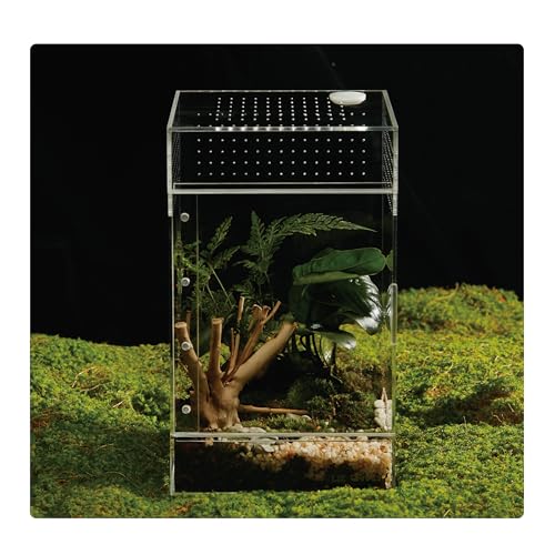 Acryl-Terrarium für Reptilien & Spinnen - kleines/mittelgroßes/großes auslaufsicheres Gehege (horizontal/vertikal) | Ideal für Vogelspinnen, Springspinnen, Frösche & Geckos (groß vertikal) von LIZ QNNALY