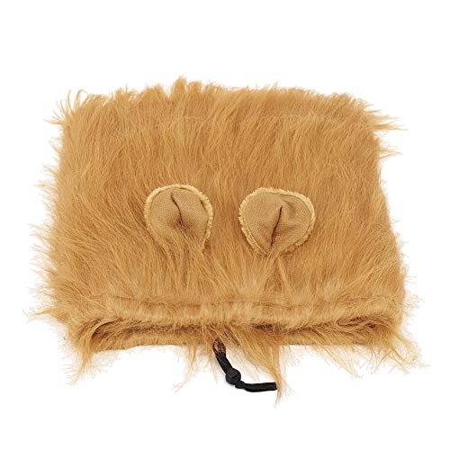 1 x Cosplay-Perücke für Hunde und Katzen, Cosplay-Haare für kleine und mittelgroße Hunde, Kopfbedeckung, Bekleidung, Spielzeug, Party-Dekoration, Verkleidung für Halloween 1 x Cosplay-Perücke für Hunde und Katzen, Cosplay-Haare für kleine und mittelgroße Hunde, Kopfbedeckung, Bekleidung, Spielzeug, Party-Dekoration, Verkleidung für Halloween von LIZEALUCKY
