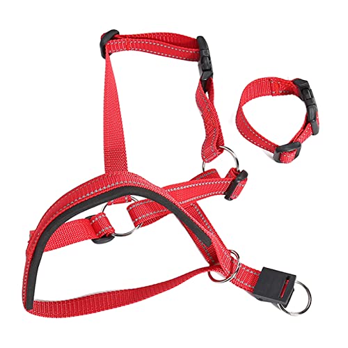 Halfter für Hunde, Maulkorb für Hunde, verstellbar, atmungsaktiv, verhindert Beißen, Bellen, Kauen, Abdeckung, Anti-Zug-Trainingshilfe, Leine, gepolstertes Nasenband, (XL) von LIZEALUCKY