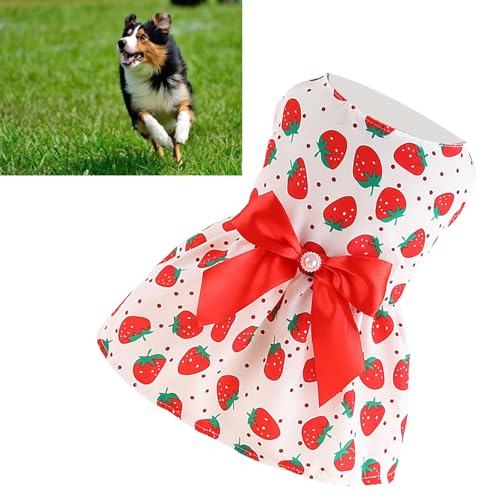 Hundeprinzessinkleid, Weste, Frühling, Sommer, Welpenkostüm, Haustierkleidung, Hochzeit, atmungsaktiver Rock für kleine Hunde, Katzen, Zwergspitz, Chihuahua, Hunderasse, (XXL) von LIZEALUCKY