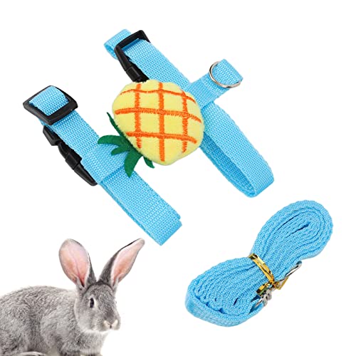 Kaninchengeschirr, Leine, Weste, Leine, Brust, Rücken, Mini-Haustiere, Kleidung, kleines Haustier, verstellbar, Hamster, weiche Laufleine, Traktionsseil-Set, H-förmiges Set für (M) von LIZEALUCKY