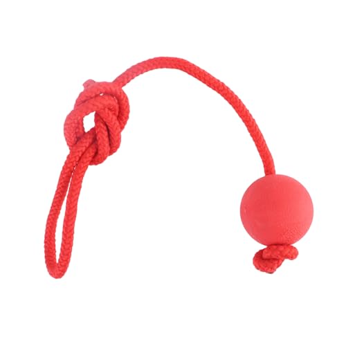 LIZEALUCKY Hundeseil-Ballspielzeug, Gummi-Hundebälle, Kauspielzeug, interaktiv, bissfest, sicher, für Outdoor-Training und Übungen, Apportieren, Fangen, Werfen, Tauziehen-Zubehör (5cm) von LIZEALUCKY