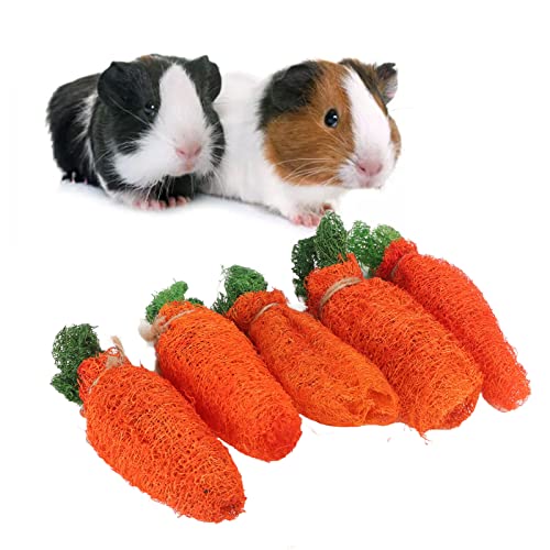 LIZEALUCKY Kaninchen-Zähneknirschspielzeug-Set, Hamster-Kauen, lindert Langeweile, Grasmatte, Ball, Kauen, Kleintier-Pflegezubehör, Karotten, Mais, für Meerschweinchen, Chinchilla, Papageien (Large) LIZEALUCKY Kaninchen-Zähneknirschspielzeug-Set, Hamster-Kauen, lindert Langeweile, Grasmatte, Ball, Kauen, Kleintier-Pflegezubehör, Karotten, Mais, für Meerschweinchen, Chinchilla, Papageien (Large) von LIZEALUCKY
