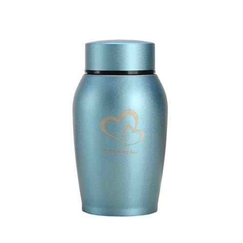 LIZHAYG Tierurnen FüR Hunde Edelstahl-Urnen for Haustiere, for Hunde, Katzen, Vögel, Mäuse, Einäscherung, Asche, versiegelte Urne, Bestattungsbedarf for Hunde und Haustiere(Color10,6.5x13CM) von LIZHAYG