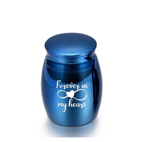 LIZHAYG Tierurnen FüR Hunde Haustier Menschliche Asche Aluminium Legierung Einäscherung Urne Beerdigung Urnen for Katze Hund Tier Haustier(Blue 30x40MM) von LIZHAYG