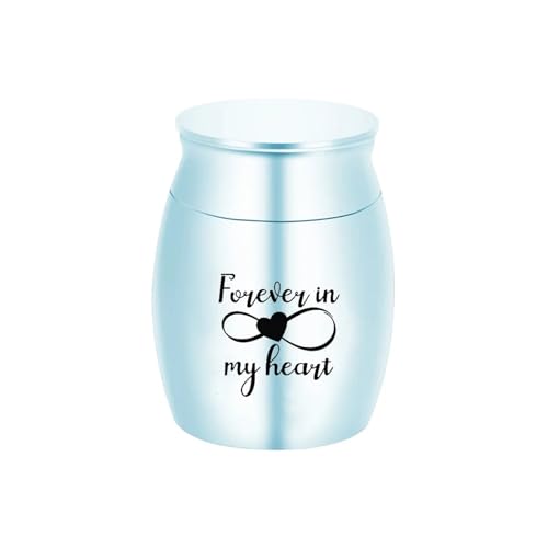LIZHAYG Tierurnen FüR Hunde Haustier Menschliche Asche Aluminium Legierung Einäscherung Urne Beerdigung Urnen for Katze Hund Tier Haustier(Light Blue 30x40MM) von LIZHAYG