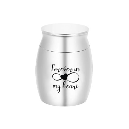 LIZHAYG Tierurnen FüR Hunde Haustier Menschliche Asche Aluminium Legierung Einäscherung Urne Beerdigung Urnen for Katze Hund Tier Haustier(Silver 30x40MM) von LIZHAYG