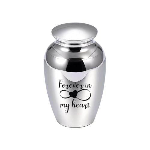LIZHAYG Tierurnen FüR Hunde Haustier Menschliche Asche Aluminium Legierung Einäscherung Urne Beerdigung Urnen for Katze Hund Tier Haustier(Silver 70X45mm) von LIZHAYG