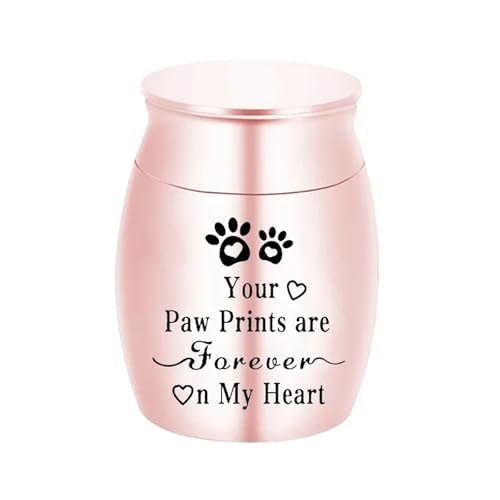 LIZHAYG Tierurnen FüR Hunde Haustierurne Metallurne for Haustiere Tragbare Hunde Memorial Katzen Asche Andenken Einäscherung Asche Urne(Rose) von LIZHAYG