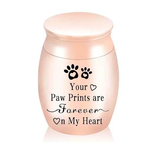 LIZHAYG Tierurnen FüR Hunde Haustierurne Metallurne for Haustiere Tragbare Hunde Memorial Katzen Asche Andenken Einäscherung Asche Urne(Rose Pink) von LIZHAYG