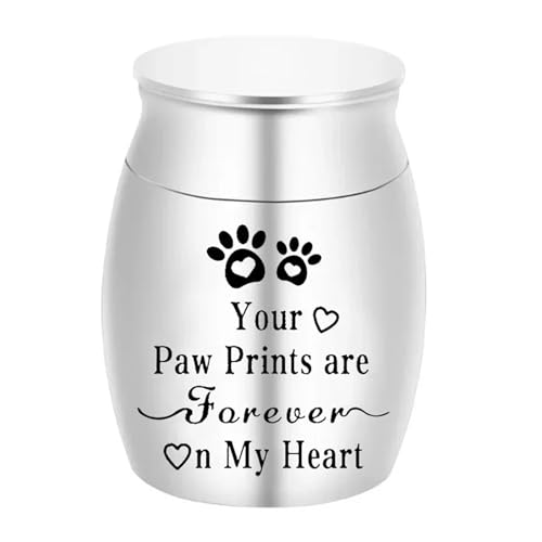 LIZHAYG Tierurnen FüR Hunde Haustierurne Metallurne for Haustiere Tragbare Hunde Memorial Katzen Asche Andenken Einäscherung Asche Urne(Silver) von LIZHAYG