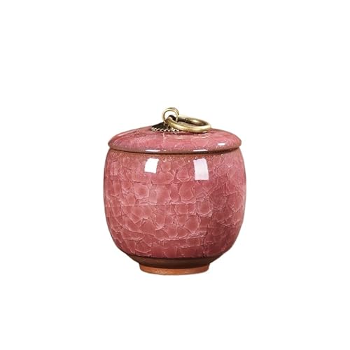 LIZHAYG Tierurnen FüR Hunde Keramik-Mini-Urnen for Haustiere, kleine Tiere, Behälter for Asche, Katzen und Hunde, Beerdigungen, Bestattungssärge(Color 05) von LIZHAYG
