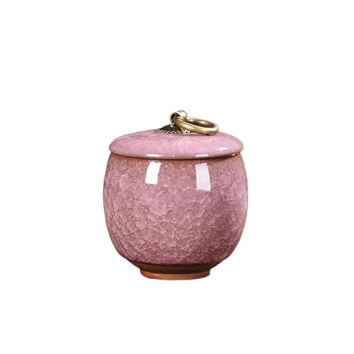LIZHAYG Tierurnen FüR Hunde Keramik-Mini-Urnen for Haustiere, kleine Tiere, Behälter for Asche, Katzen und Hunde, Beerdigungen, Bestattungssärge(Color 08) von LIZHAYG