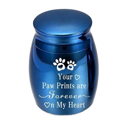 LIZHAYG Tierurnen FüR Hunde Mini Pet Ashes Sealed Box Pet Paw Print Feuchtigkeitsbeständige Urne for Haustiere Wasserdicht(Blue) von LIZHAYG