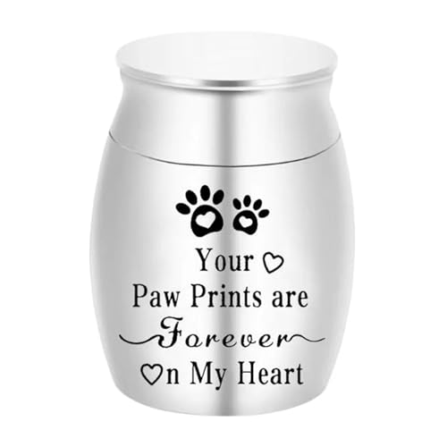 LIZHAYG Tierurnen FüR Hunde Mini Pet Ashes Sealed Box Pet Paw Print Feuchtigkeitsbeständige Urne for Haustiere Wasserdicht(Silver) von LIZHAYG