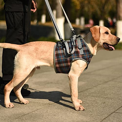 Hunde-Hilfsschlinge, Professionelle Hebe-Stützschlinge für Hunde, Bequem, Verstellbar, Polyester für Gehbehinderte (XL (30–40 kg / 66,1–88,2 lb empfohlen)) von LJCM