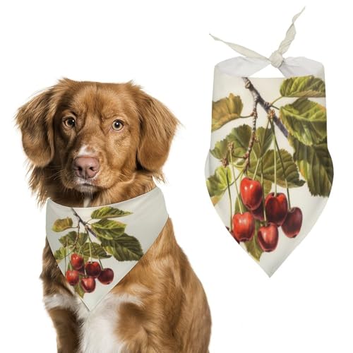 Art Cherry Painting Hundehalstuch, waschbar und verstellbar, Dreieckstuch, atmungsaktiv, Haustierschal für kleine, mittelgroße und große Haustiere, niedliches modisches Haustierzubehör Art Cherry Painting Hundehalstuch, waschbar und verstellbar, Dreieckstuch, atmungsaktiv, Haustierschal für kleine, mittelgroße und große Haustiere, niedliches modisches Haustierzubehör von LKHDS