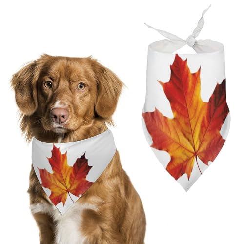 Hundehalstuch, Motiv: Herbstblätter, waschbar und verstellbar, dreieckig, atmungsaktiv, für kleine, mittelgroße und große Haustiere, niedliches modisches Haustierzubehör Hundehalstuch, Motiv: Herbstblätter, waschbar und verstellbar, dreieckig, atmungsaktiv, für kleine, mittelgroße und große Haustiere, niedliches modisches Haustierzubehör von LKHDS