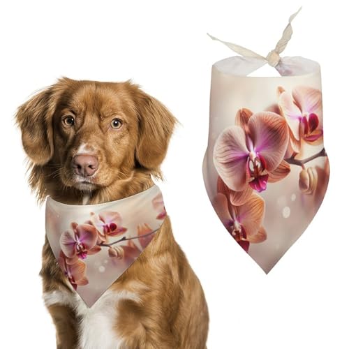 Hundehalstuch, Motiv: Orchidee auf Hintergrund, waschbar und verstellbar, Dreieckstuch, atmungsaktiv, für kleine, mittelgroße und große Haustiere, niedliches modisches Haustierzubehör Hundehalstuch, Motiv: Orchidee auf Hintergrund, waschbar und verstellbar, Dreieckstuch, atmungsaktiv, für kleine, mittelgroße und große Haustiere, niedliches modisches Haustierzubehör von LKHDS