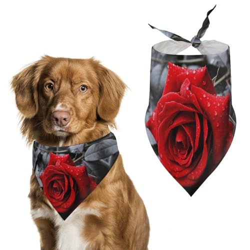 Hundehalstuch mit roter Rose, waschbar und verstellbar, atmungsaktiv, für kleine, mittelgroße und große Haustiere, niedliches modisches Haustier-Accessoire Hundehalstuch mit roter Rose, waschbar und verstellbar, atmungsaktiv, für kleine, mittelgroße und große Haustiere, niedliches modisches Haustier-Accessoire von LKHDS