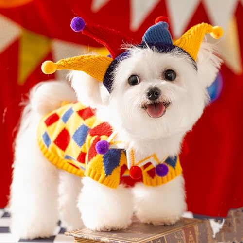 Herbst und Winter verrückte Zirkuskleidung, Hunde-Cross-Dressing-Pullover-Set, kleine und mittelgroße Hunde-Teddybär-Haustier-Kleidung Herbst und Winter verrückte Zirkuskleidung, Hunde-Cross-Dressing-Pullover-Set, kleine und mittelgroße Hunde-Teddybär-Haustier-Kleidung von LKMM