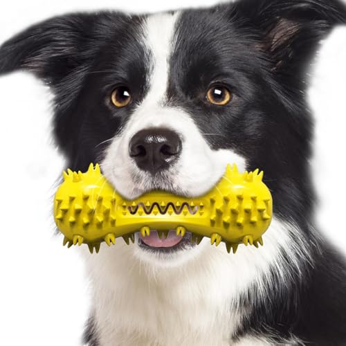 LKMM Hundespielzeug Vokalisierung Hantel Beißstäbchen Hund Zähne Reinigung Training Knochen Zahnbürste LKMM Hundespielzeug Vokalisierung Hantel Beißstäbchen Hund Zähne Reinigung Training Knochen Zahnbürste von LKMM