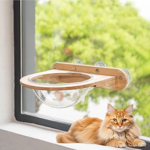 LKPMGOA Katzen-Wandregal, Platzsparendes Wandmöbel zum Ausruhen, Abgerundete und Glatte Ecken, Saugnapfhalterung, 20 Kg Belastbar(50 * 10.5cm) von LKPMGOA