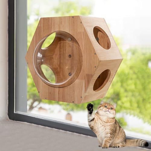 LKPMGOA Katzen-Wandregal, Platzsparendes Wandmöbel zum Ausruhen, Abgerundete und Glatte Ecken, Saugnapfhalterung, 20 Kg Belastbar(51 * 44cm) von LKPMGOA