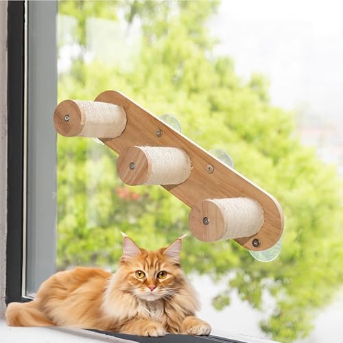 LKPMGOA Katzen-Wandregal, Platzsparendes Wandmöbel zum Ausruhen, Abgerundete und Glatte Ecken, Saugnapfhalterung, 20 Kg Belastbar(60 * 13cm) von LKPMGOA