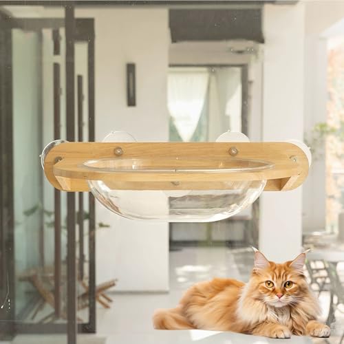 LKPMGOA Katzen-Wandregal, Platzsparendes Wandmöbel zum Ausruhen, Abgerundete und Glatte Ecken, Saugnapfhalterung, 20 Kg Belastbar(60 * 14cm) von LKPMGOA