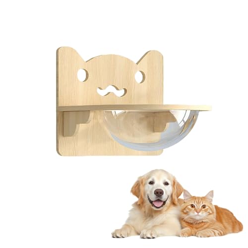 LKPMGOA Kletterregal für Wohnungskatzen, Katzenwandregale und Montierte Sitzstangen, Erweitern Sie Ihren Platz, Glatte Plattenoberfläche, Frei Kombinierbar(40 * 40cm) von LKPMGOA