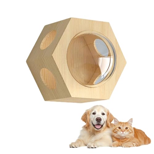 LKPMGOA Kletterregal für Wohnungskatzen, Katzenwandregale und Montierte Sitzstangen, Erweitern Sie Ihren Platz, Glatte Plattenoberfläche, Frei Kombinierbar(50 * 45cm) von LKPMGOA