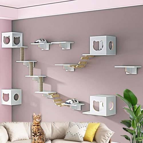 LKPMGOA Kletterwand Katzen, Katzentreppen Set, Katzen Kletterwand Set, mit Katzenhaus, Stufen, Kratzbaum und Weicher Leiter(17pcs) von LKPMGOA