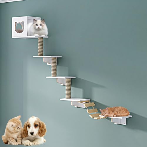 LKPMGOA Kletterwand Katzen Set, Katzenregale und -sitzstangen für die Wand, Platzsparend, Verstärkte Platte, Geeignet Zum Spielen und Schlafen(9-1pcs) von LKPMGOA