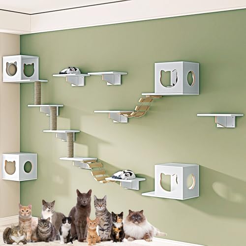LKPMGOA Modernes Katzen Kletterwand-Wandregal, Katzen Wand Klettern, Erweitert Den Platzbedarf, Bodenverstärkung, Belastbar Bis 12 Kg(17pcs) von LKPMGOA