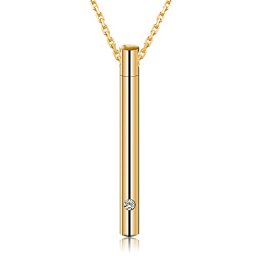 LLHCF Zylinder-Anhänger für Haustiere, Urnen-Halskette, Edelstahl, für Hunde, Gedenkbehälter, Schmuck, Gedenkroman-Halskette LLHCF Zylinder-Anhänger für Haustiere, Urnen-Halskette, Edelstahl, für Hunde, Gedenkbehälter, Schmuck, Gedenkroman-Halskette von LLHCF