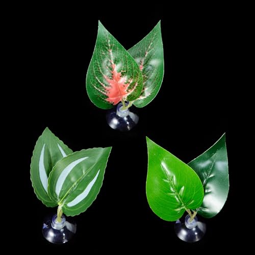 LLINthy 3pcs Haltbarkeit Wasserpflanze Kreative Grasfischtanks Aquarien Landschaften Für Haustiersicherheit In Aquarien Und Terrarien Reptilien Terrarien Dekoration LLINthy 3pcs Haltbarkeit Wasserpflanze Kreative Grasfischtanks Aquarien Landschaften Für Haustiersicherheit In Aquarien Und Terrarien Reptilien Terrarien Dekoration von LLINthy