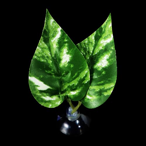 LLINthy Bettas Fischblattpolster Doppelblatt Hängematte Ruhebett Sichere Umwelt Bettas Laichbett Aquarien Landschaft Accessoire Aquarien Accessoires LLINthy Bettas Fischblattpolster Doppelblatt Hängematte Ruhebett Sichere Umwelt Bettas Laichbett Aquarien Landschaft Accessoire Aquarien Accessoires von LLINthy