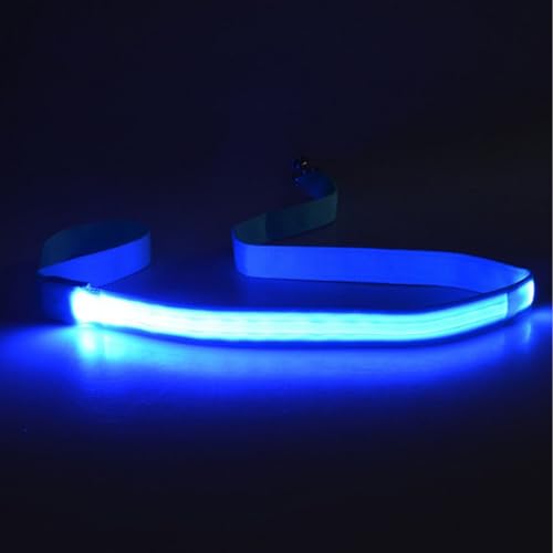 Set Von 4 Wiederaufladbaren LED Hundeleine Langes Wasserdichtes Nylon Für Eine Verbesserte Nachtsicherheit Und Sichtbarkeit Für Hunde LED Hundeleine Set Von 4 Wiederaufladbaren LED Hundeleine Langes Wasserdichtes Nylon Für Eine Verbesserte Nachtsicherheit Und Sichtbarkeit Für Hunde LED Hundeleine von LLINthy