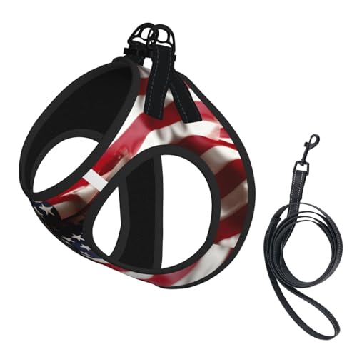 L Haustier-Leine, Hundegeschirr, kleine Größe, Feuerwehrmann-Flagge, bedruckt, Leinen-Set mit Schnalle, Hundebegleiter, Outdoor-Spaziergänge von LLOTPQ