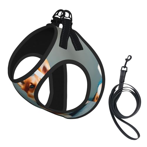 L Haustier-Leine, Hundegeschirr, kleine Größe, mit niedlichem Corgi-Hunde-Druck, Leinen-Set mit Schnalle, Hundebegleiter, Outdoor-Spaziergänge L Haustier-Leine, Hundegeschirr, kleine Größe, mit niedlichem Corgi-Hunde-Druck, Leinen-Set mit Schnalle, Hundebegleiter, Outdoor-Spaziergänge von LLOTPQ