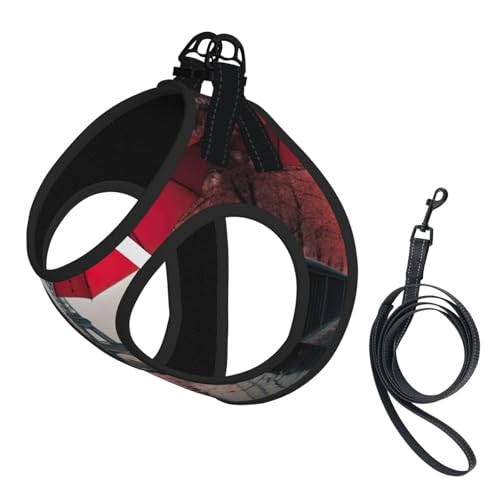 L Pet Leash Vest Hundegeschirr, kleine Größe, Eiffelturm mit rotem Regenschirm, Leinenset mit Schnalle, Hundebegleiter, Outdoor-Spaziergänge L Pet Leash Vest Hundegeschirr, kleine Größe, Eiffelturm mit rotem Regenschirm, Leinenset mit Schnalle, Hundebegleiter, Outdoor-Spaziergänge von LLOTPQ