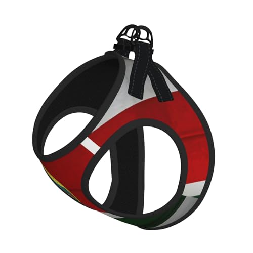 L Pet Leash Vest Hundegeschirr, kleine Größe, Flagge von Hawaii, amerikanischer Druck, Leinen-Set mit Schnalle, Hundebegleiter, Outdoor-Hund von LLOTPQ