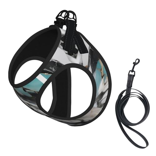 L Pet Leash Vest Hundegeschirr, kleine Größe, Marmor-Druck, Leinen-Set mit Schnalle, Hundebegleiter, Outdoor-Spaziergänge von LLOTPQ