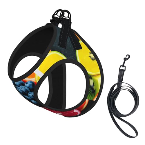 L Pet Leash Vest Hundegeschirr, kleine Größe, Obst-Regenbogen-Druck, Leinen-Set mit Schnalle, Hundebegleiter, Outdoor-Spaziergänge von LLOTPQ