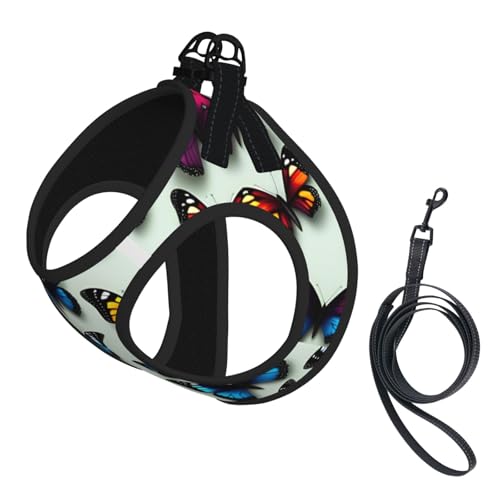 L Pet Leash Vest Hundegeschirr, kleine Größe, Schmetterlings- und Cello-Druck, Leinenset mit Schnalle, Hundebegleiter, Outdoor-Spaziergänge L Pet Leash Vest Hundegeschirr, kleine Größe, Schmetterlings- und Cello-Druck, Leinenset mit Schnalle, Hundebegleiter, Outdoor-Spaziergänge von LLOTPQ