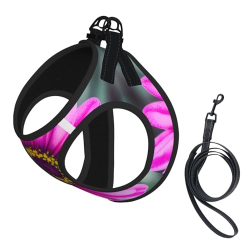 L Pet Leash Vest Hundegeschirr, kleine Größe, rosa Blumendruck, Leinen-Set mit Schnalle, Hundebegleiter, Outdoor-Spaziergänge von LLOTPQ