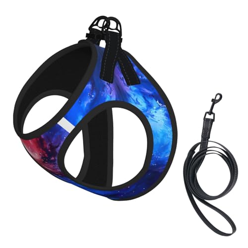 L Pet Leash Vest Hundegeschirr, kleine Größe, rot/blau, Galaxie-Druck, Leinen-Set mit Schnalle, Hundebegleiter, Outdoor-Spaziergänge L Pet Leash Vest Hundegeschirr, kleine Größe, rot/blau, Galaxie-Druck, Leinen-Set mit Schnalle, Hundebegleiter, Outdoor-Spaziergänge von LLOTPQ